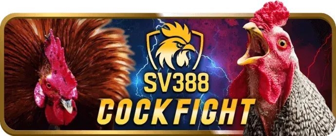Thưởng nạp lại hàng ngày cho cá cược thể thao 2ubet